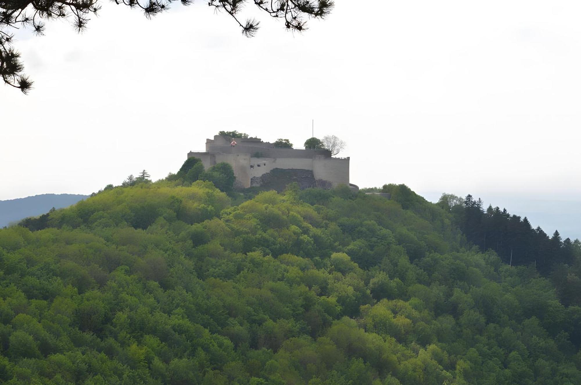 Fewo-Alb-Traum Erkenbrechtsweiler Exterior photo